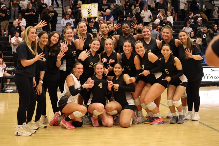 CHS Volleyball final 4 bound