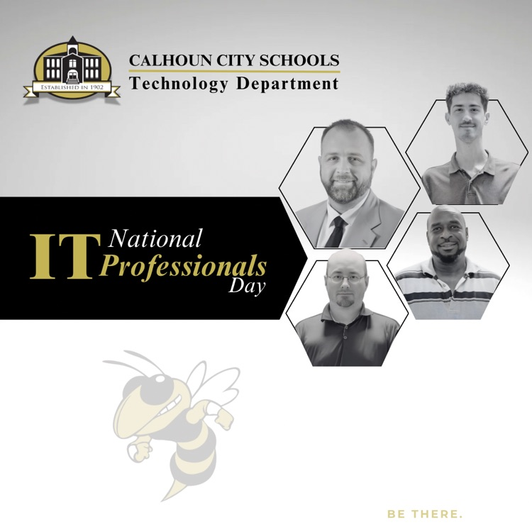 national IT professionals day