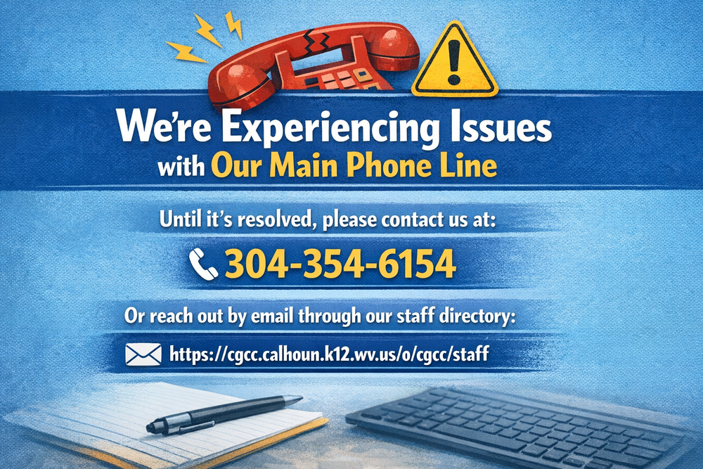 alternate phone number 3043546154