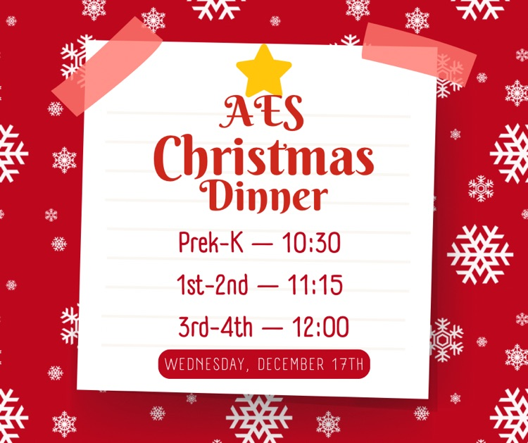 Christmas Dinner Flyer with Lunch Times and Date