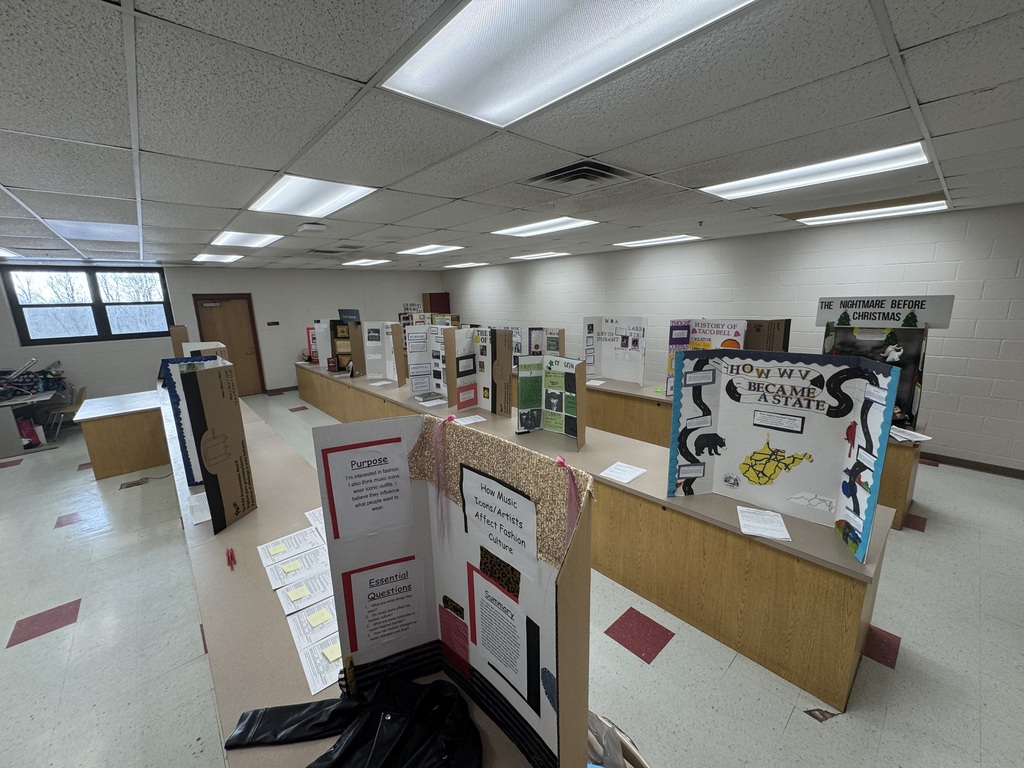 Social Studies Fair Project