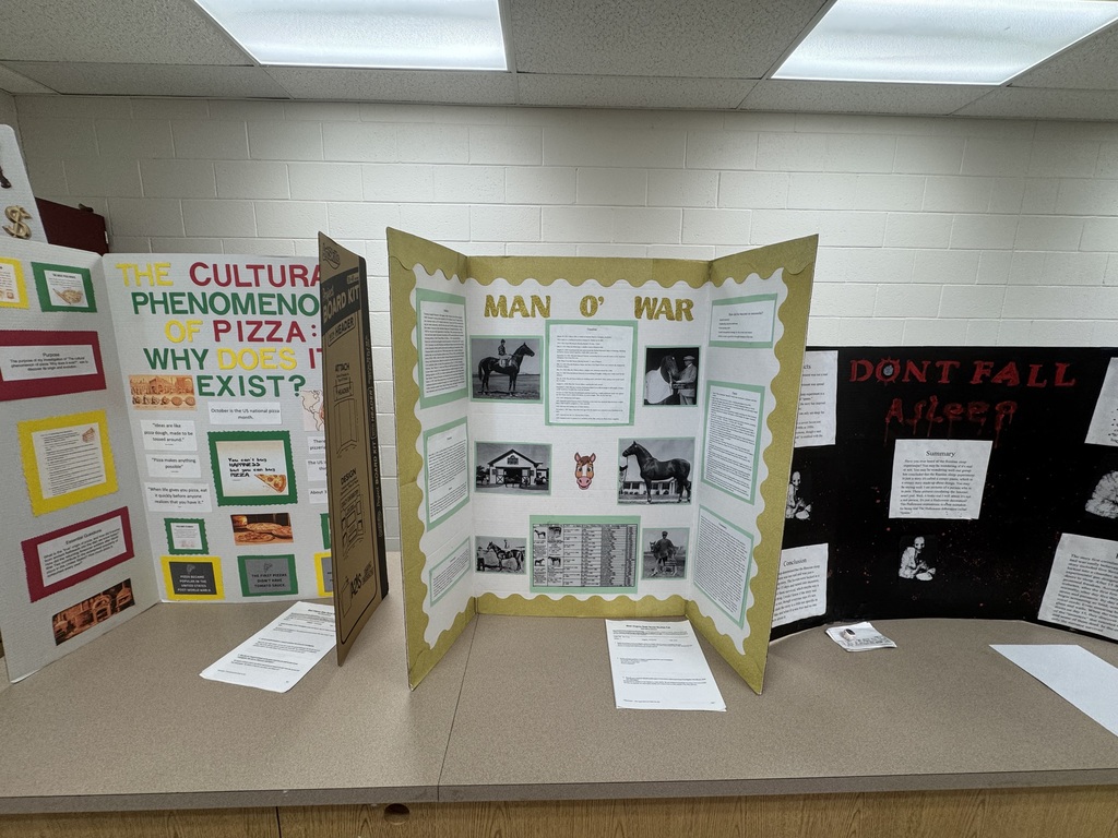 Social Studies Fair Project