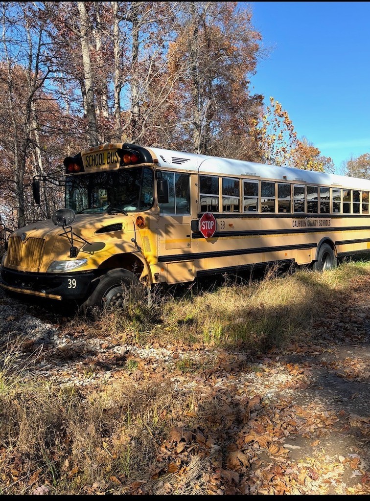 Outside view of bus 39 driver's side
