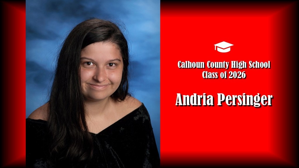 A formal senior portrait layout featuring a student with long dark hair, wearing a black off-the-shoulder top, posed against a blue studio background on the left. The right side displays a bright red panel with a graduation cap icon and white text that reads “Calhoun County High School Class of 2026” and the name “Andria Persinger” in large bold letters.