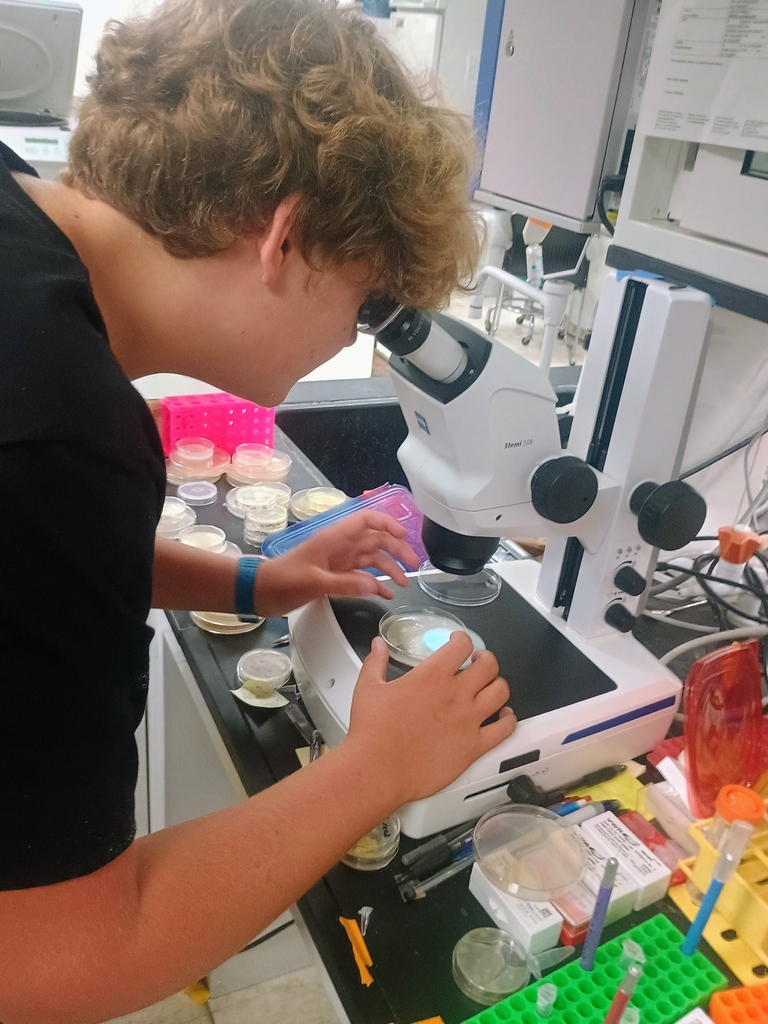 Duke using a microscope