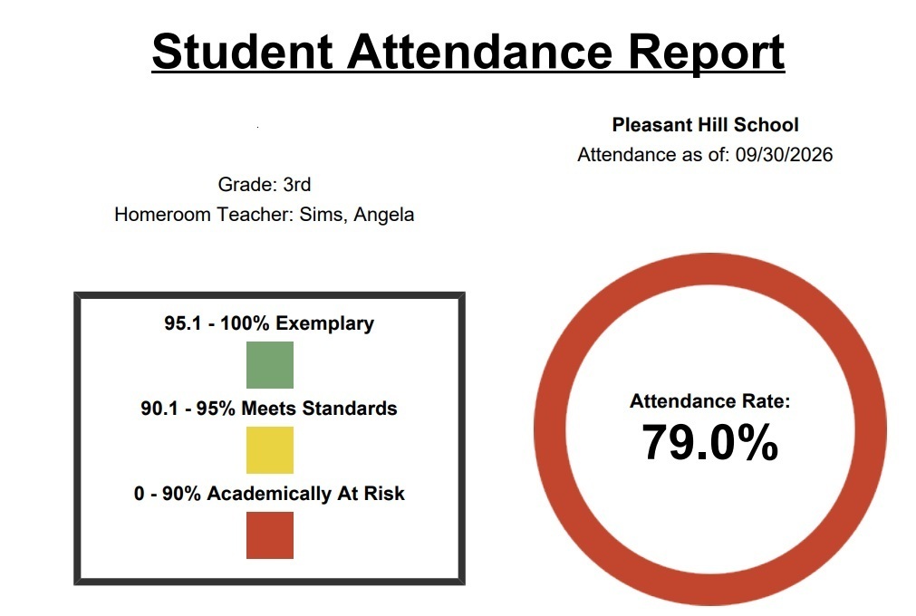 Academically At Risk Example