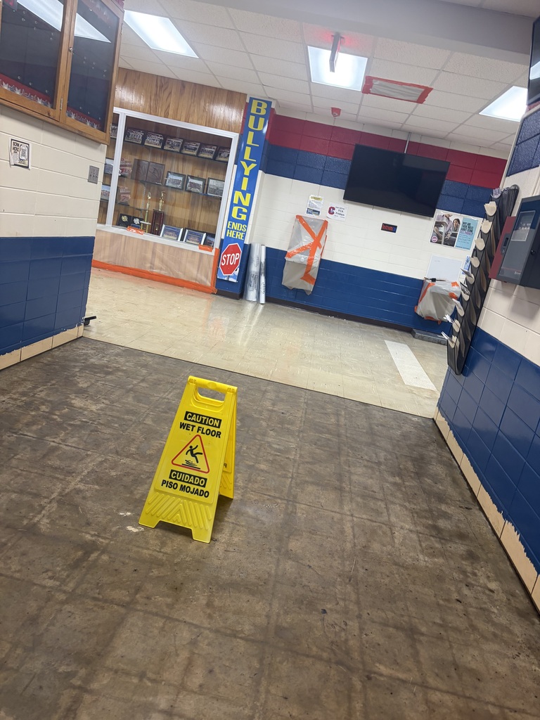 MS FLOOR