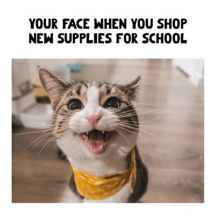Funny meme