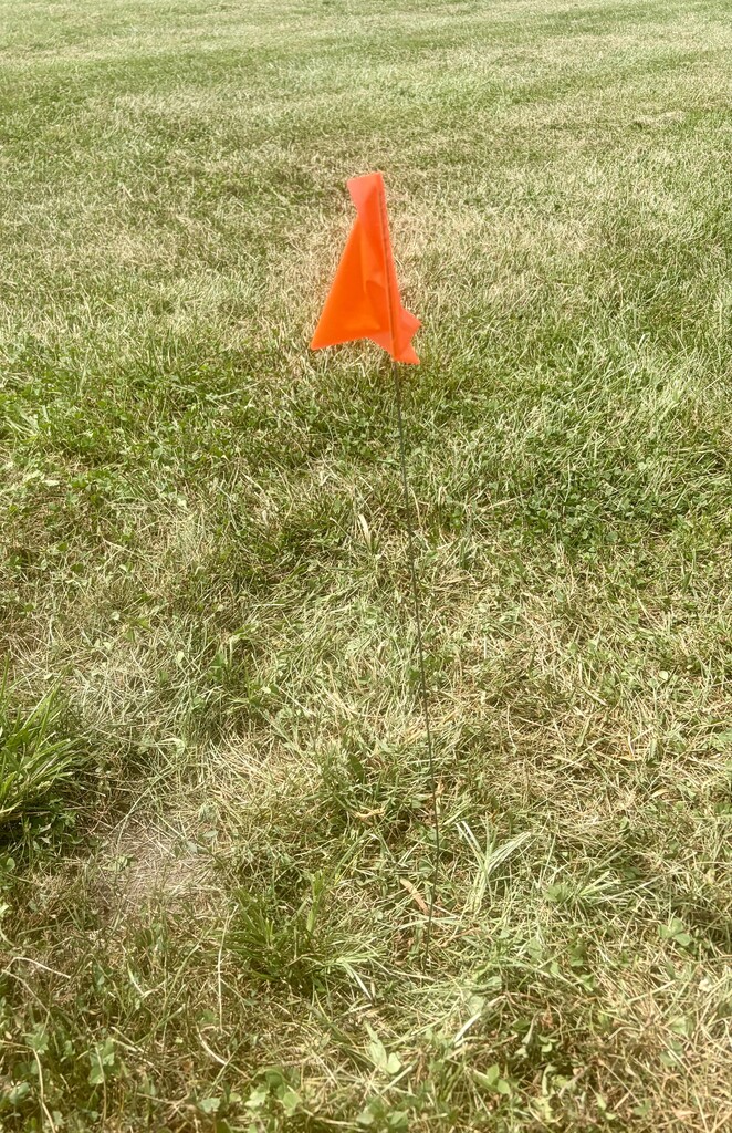 Orange Flag