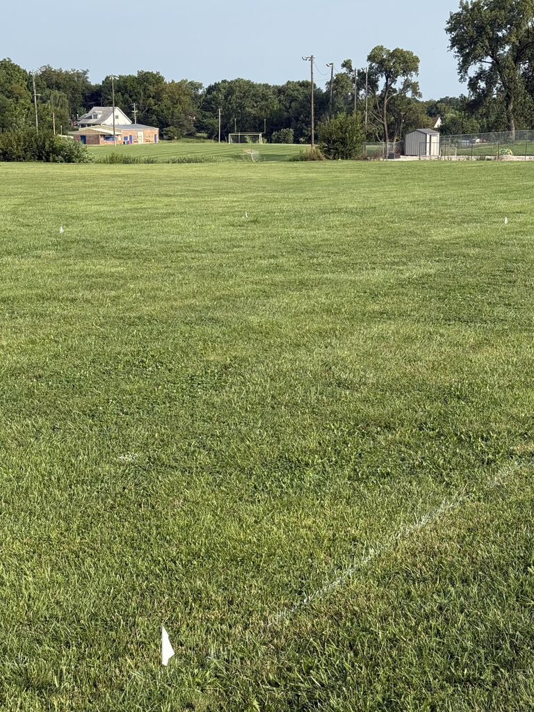 Field