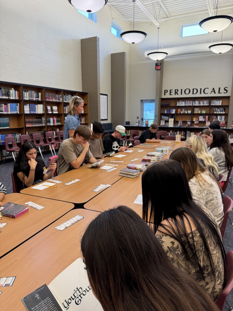 HS library Project- Students Reading