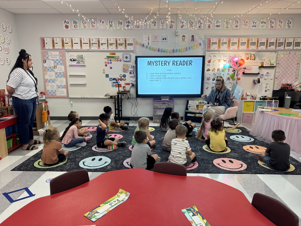 Mystery Reader