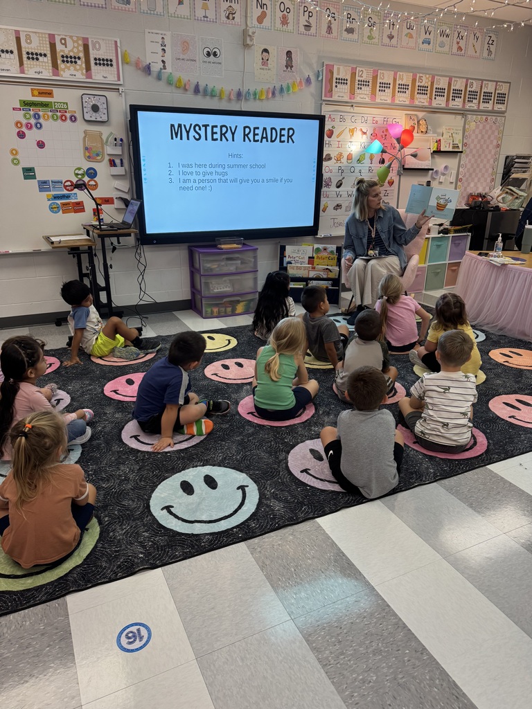 Mystery Reader