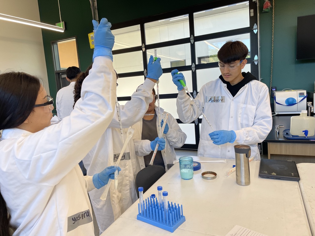 students working on cheese lab