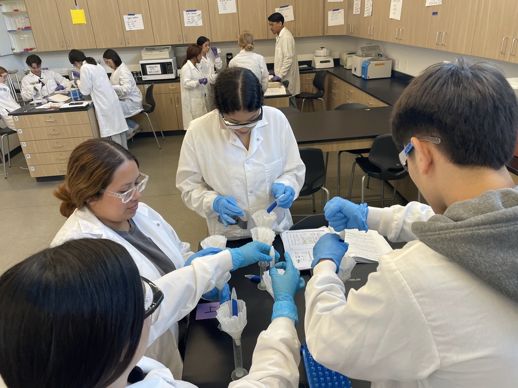 students working on cheese lab
