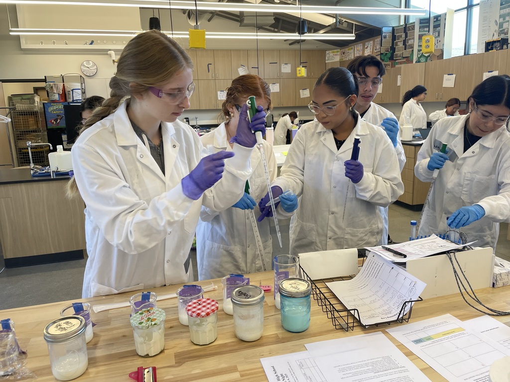 students working on cheese lab