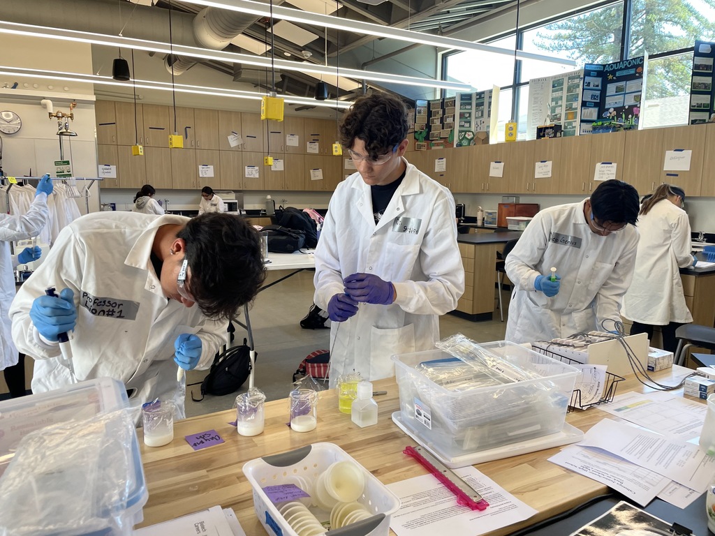 students working on cheese lab