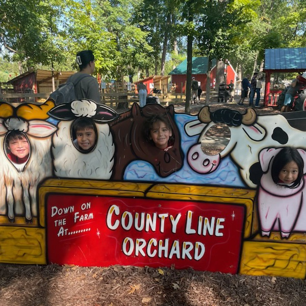 apple orchard
