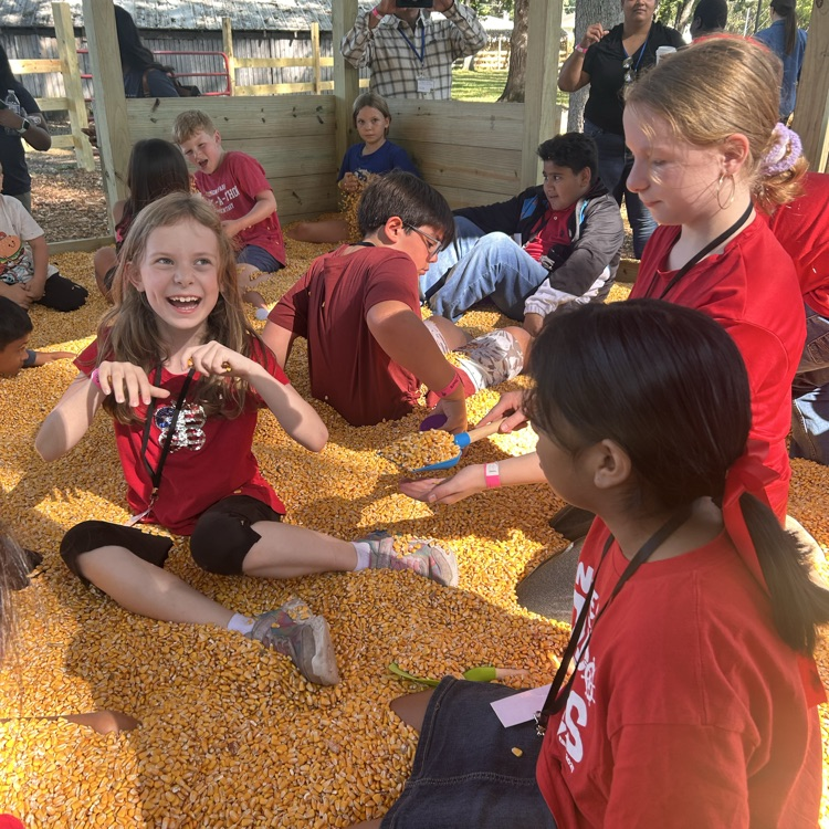 apple orchard