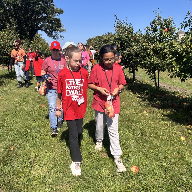 apple orchard
