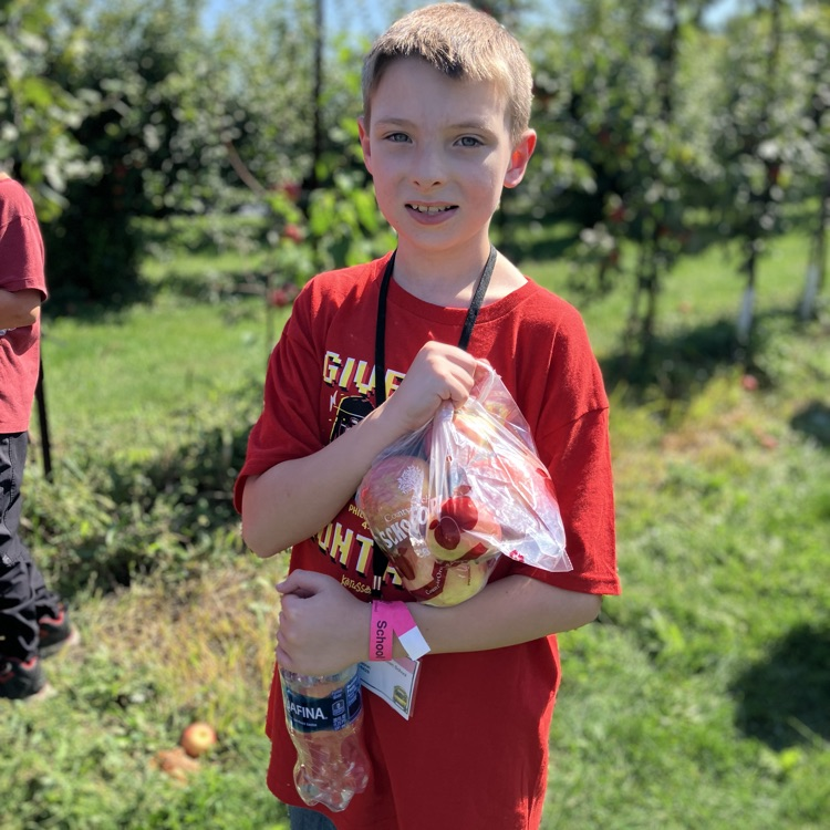 apple orchard