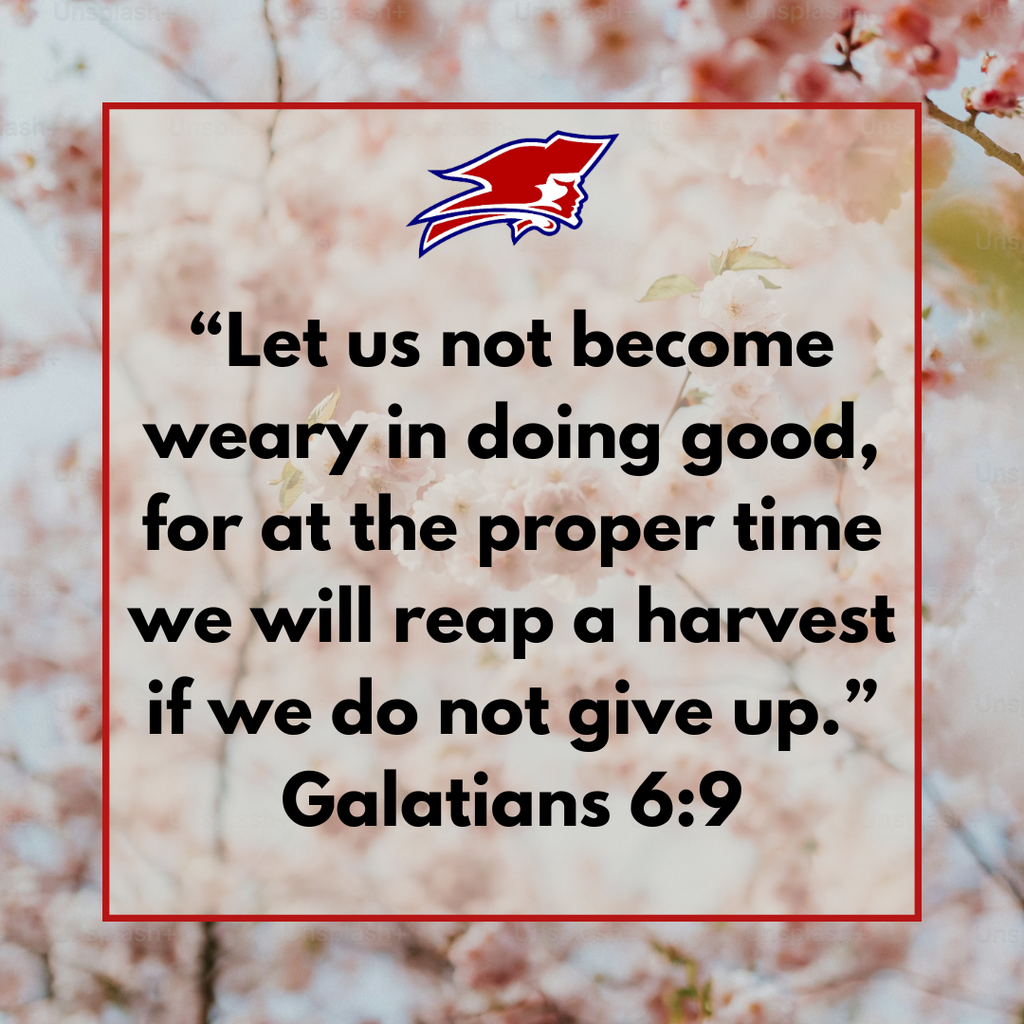 Galatians 6:9