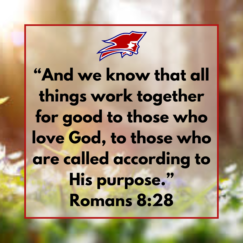 Romans 8:28
