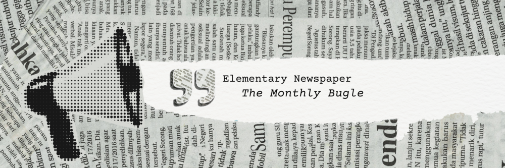 Newspaper