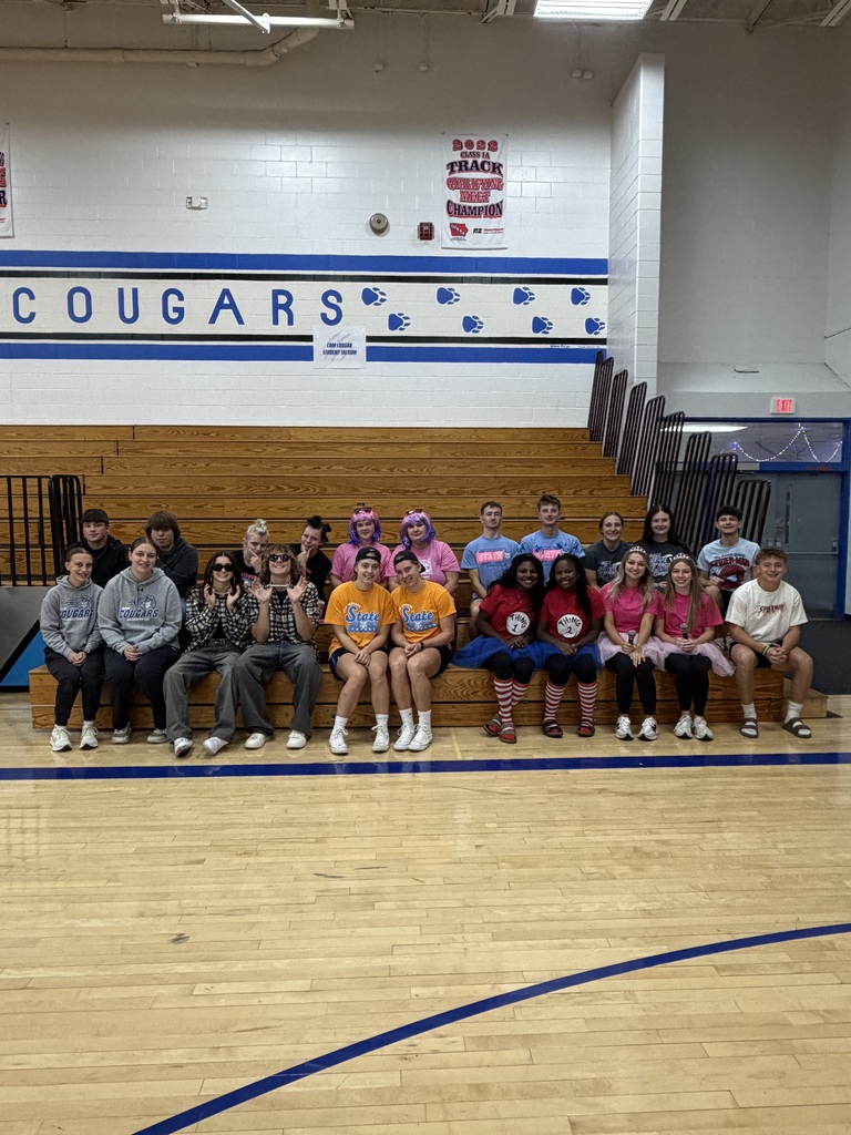 Seniors dressed as twins in the gym. They had 11 different sets of twins for twin day.