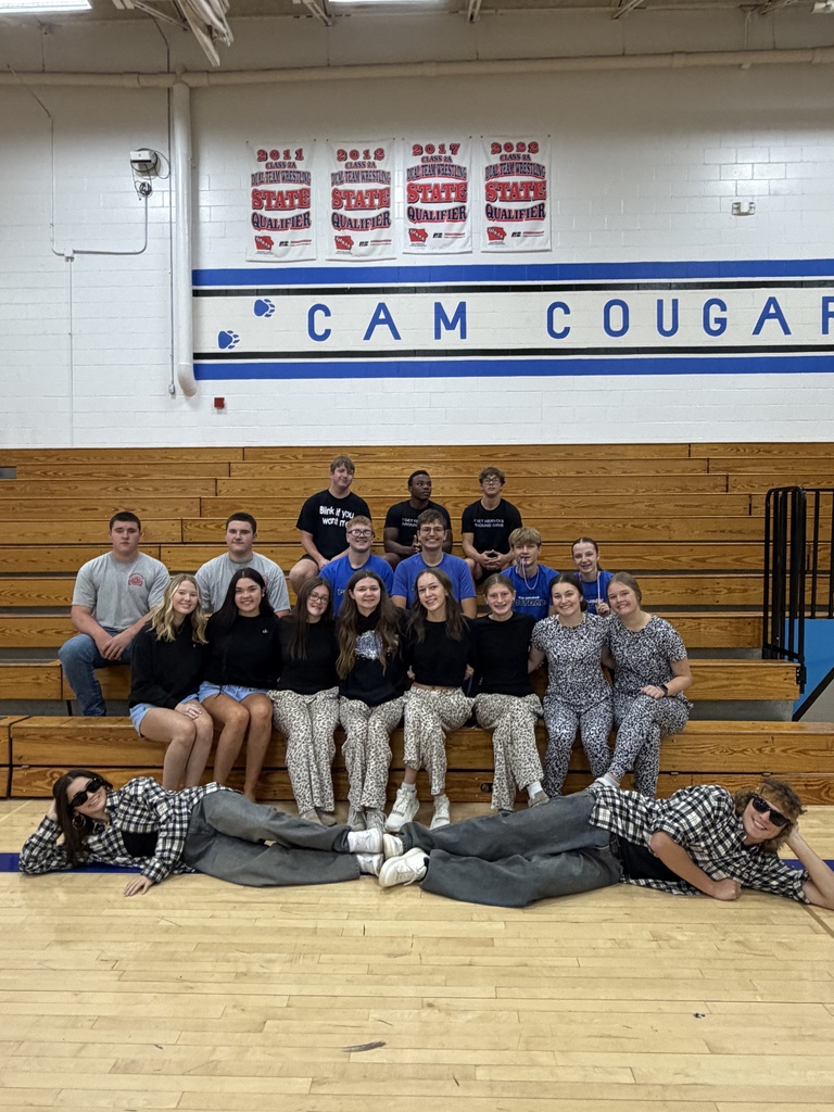 Junior Class dressed up as twins in the gym. There is a set of quadrupets dressed in leopard pants and black shirts.