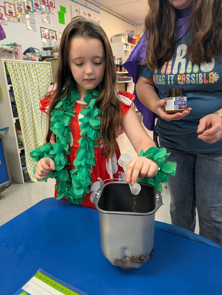 Student pouring ingredients into canister on a desk in classroom. Making bread. Teacher assisting.