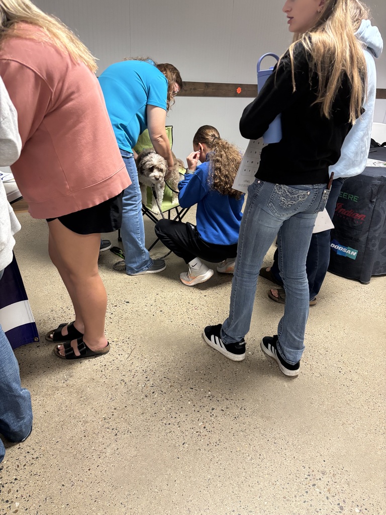 Students gather around a small dog standing on a folding chair while an adult assists.
