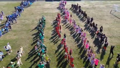 students in rows by color