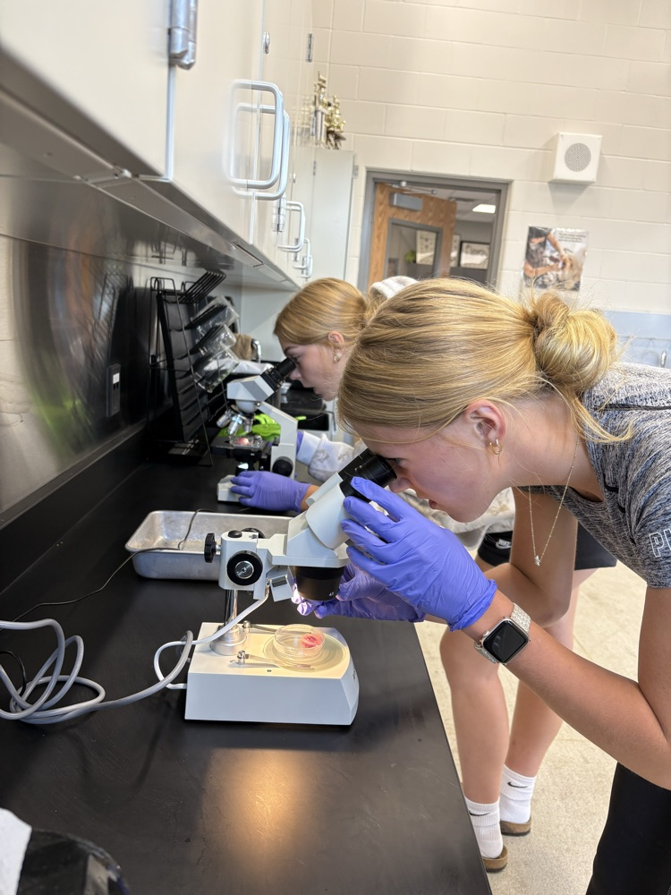 ag lab
