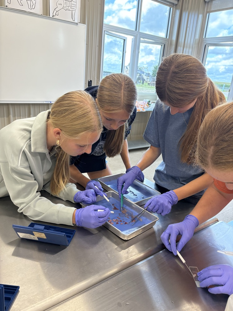ag lab