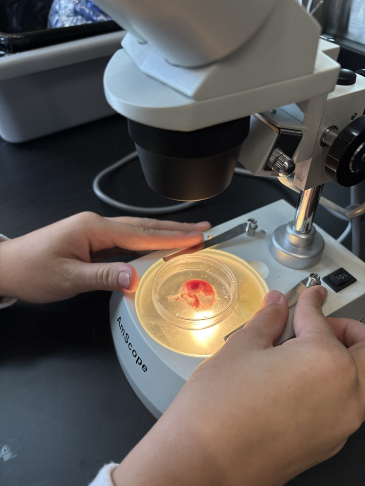 ag lab