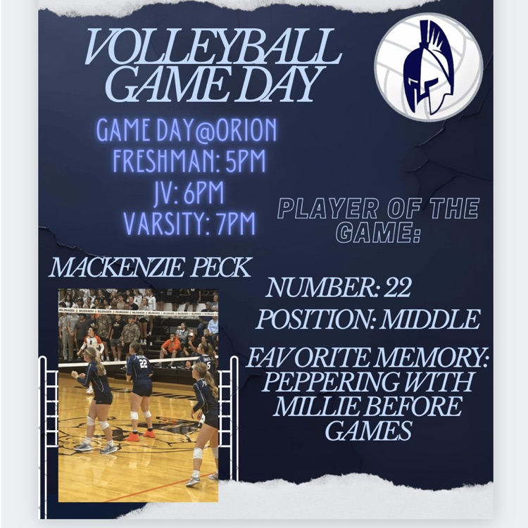 volleyball volleyball poster