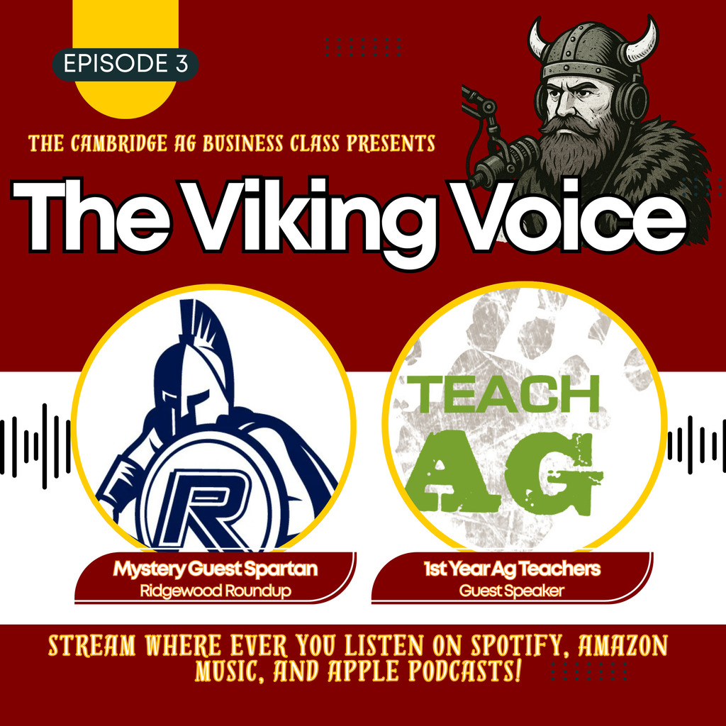 Viking Voice