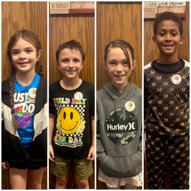 Viking of the week winners 