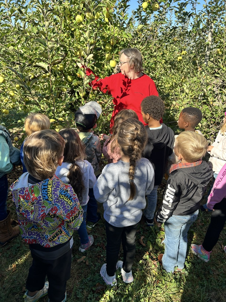 apple picking