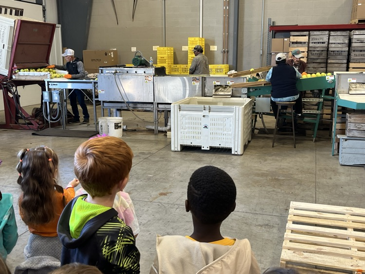 watching the Apple production