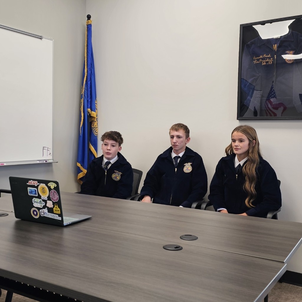 ffa interview