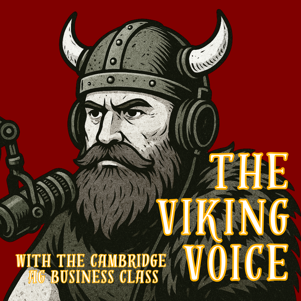 Viking Voice