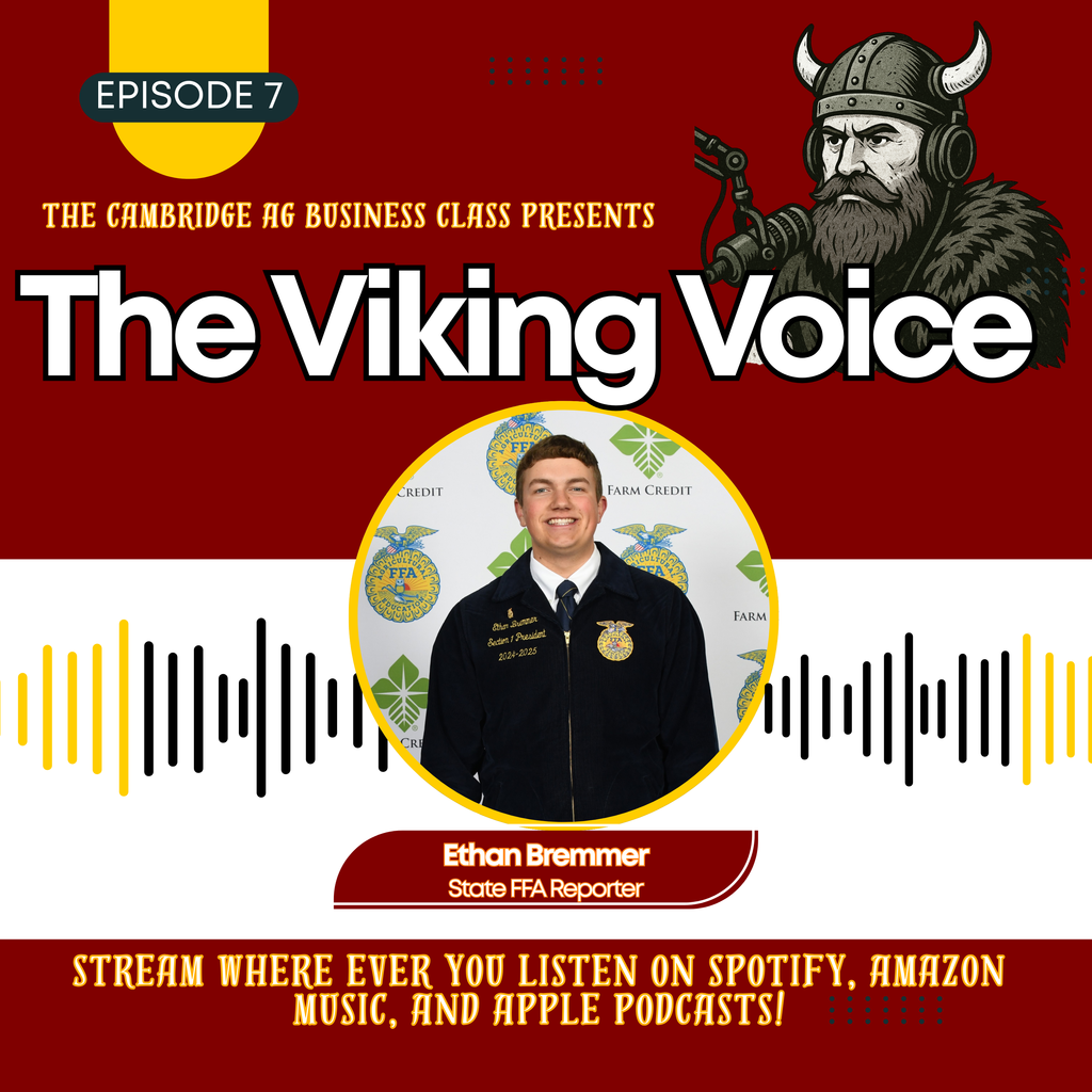 Viking Voice