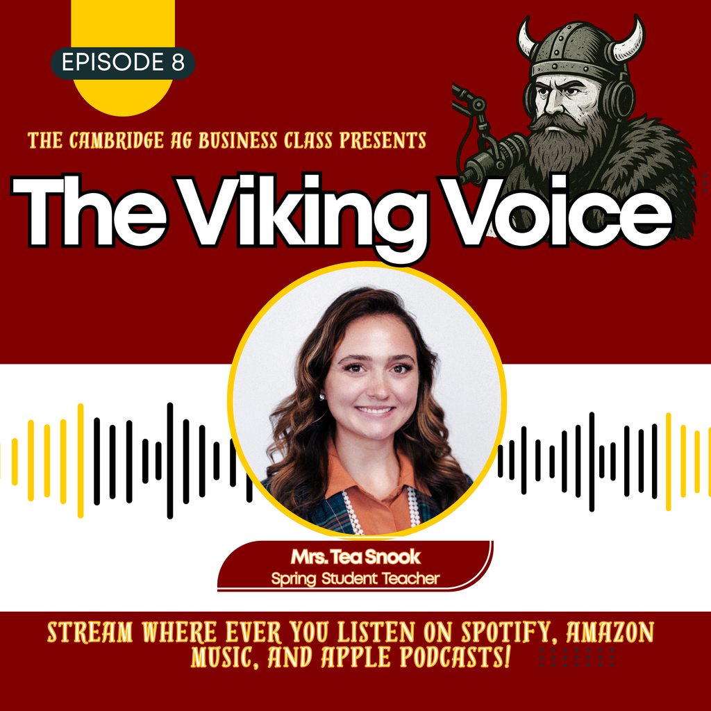 Viking Voice