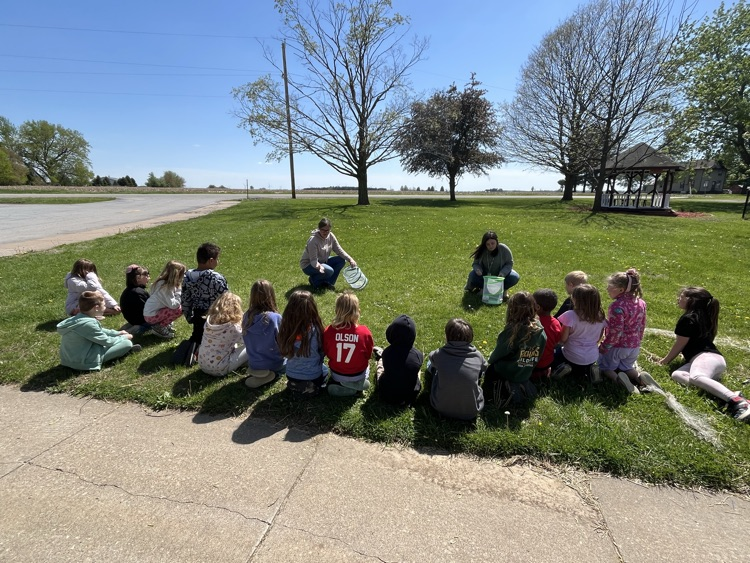 1st grade release butterflies 