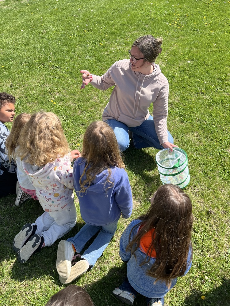 1st grade release butterflies 
