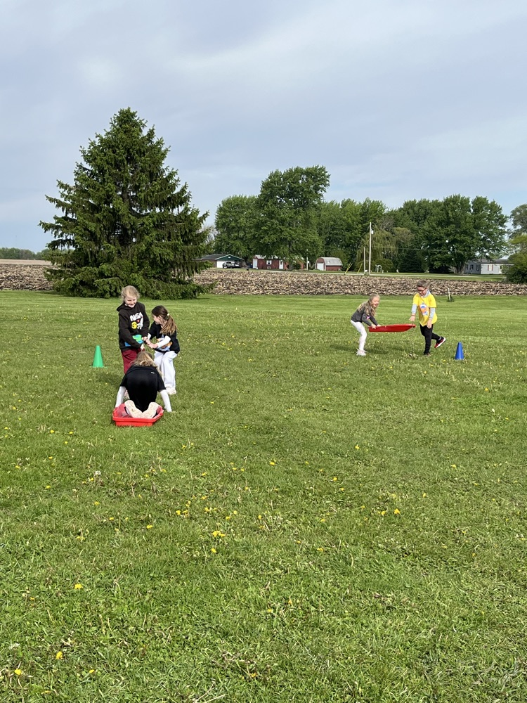 dogsled race 