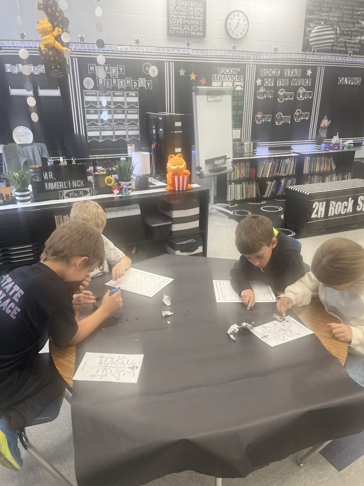 dissecting owl pellets