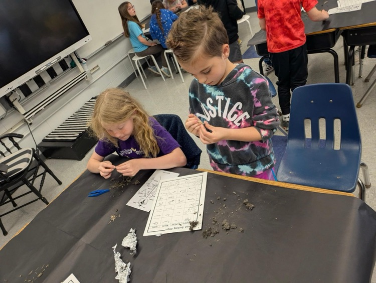 dissecting owl pellets
